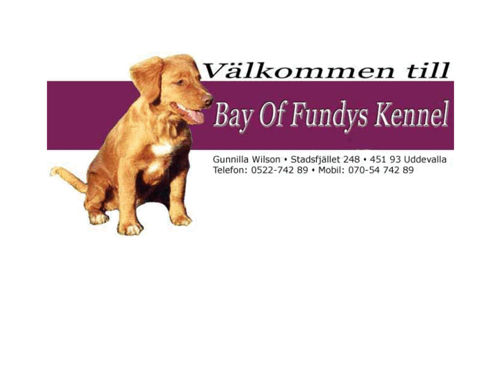 www.bayoffundyskennel.com