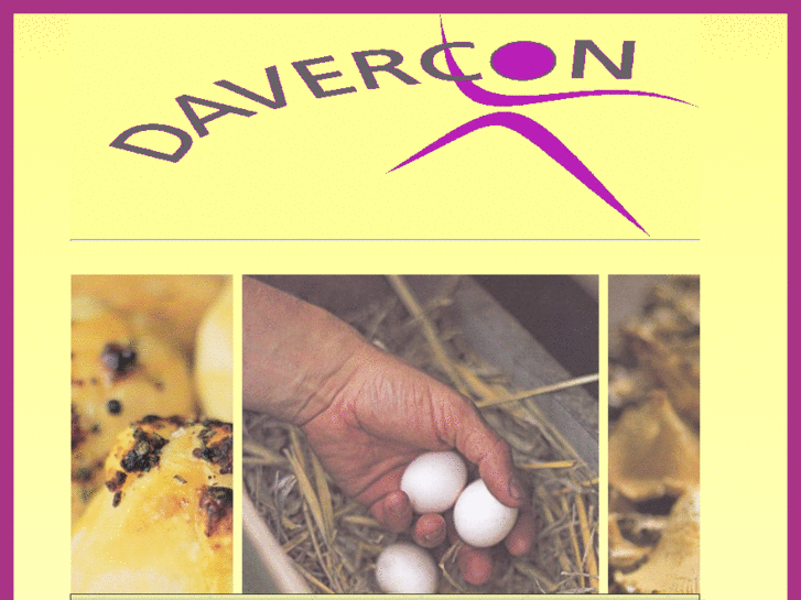 www.davercon.com