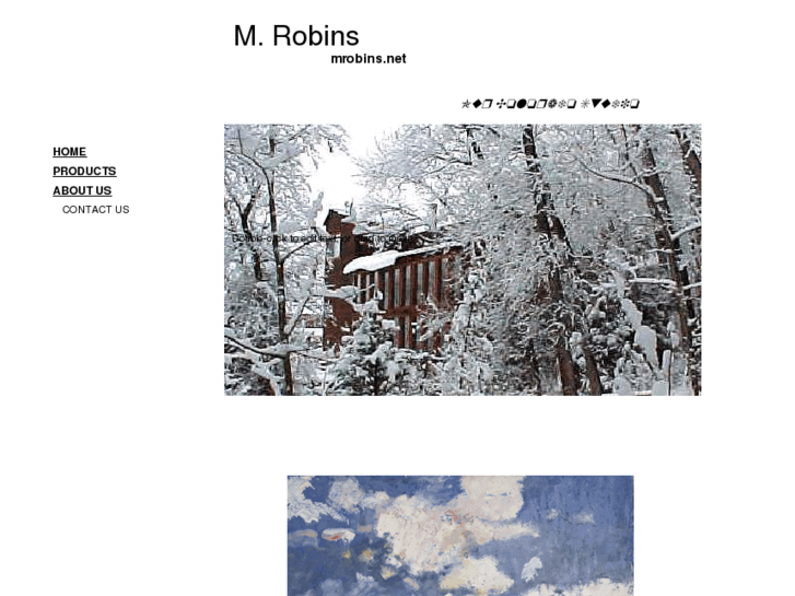 www.mrobins.net