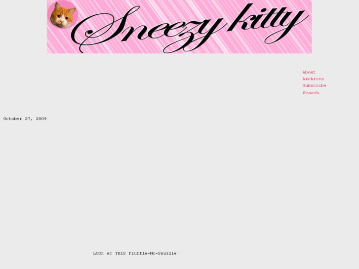 www.sneezykitty.com