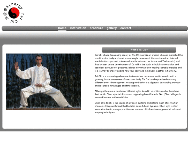 www.synergytaichi.com