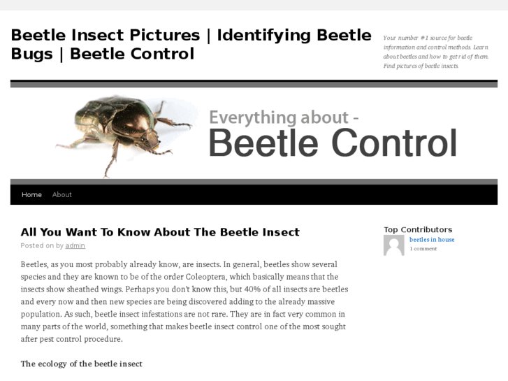 www.beetle-control.com