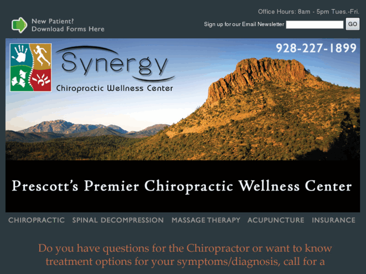 www.chiropracticsynergy.com