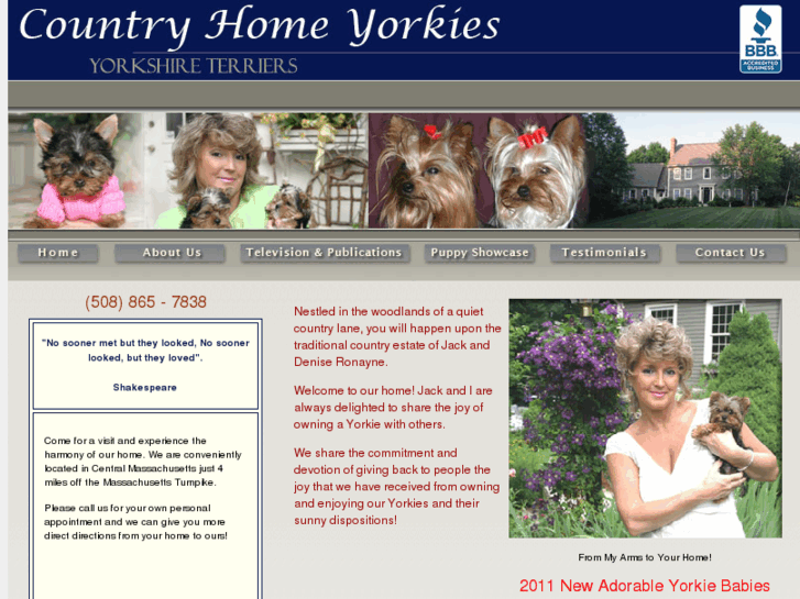 www.countryhomeyorkies.com