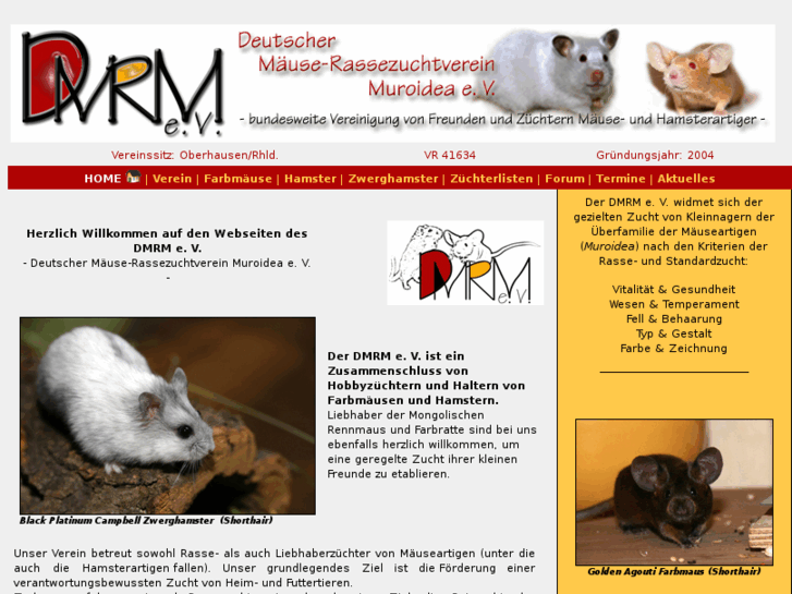 www.dmrm.de