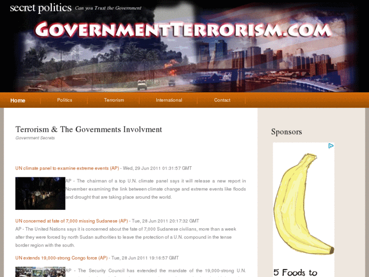 www.governmentterrorism.com