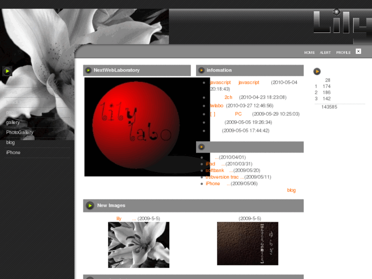 www.lily.la