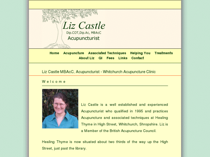 www.lizcastle.com