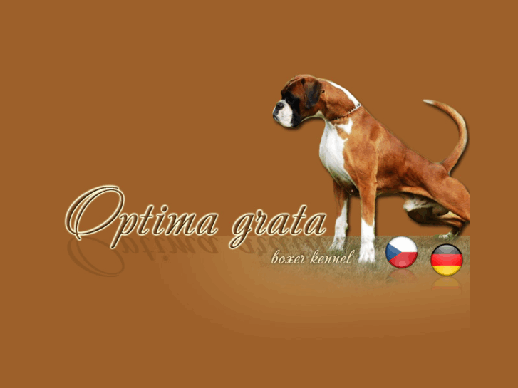 www.optimagrata.com