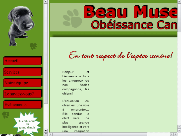 www.beau-museau.com