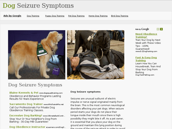 www.dogseizuresymptoms.com