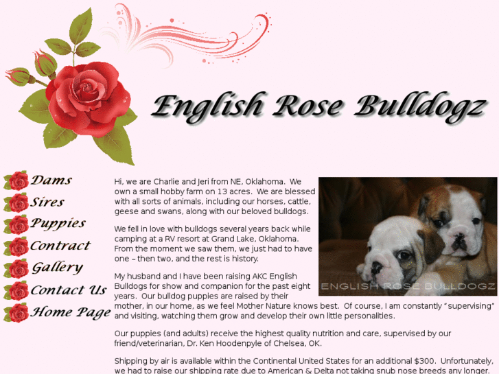 www.englishrosebulldogz.com