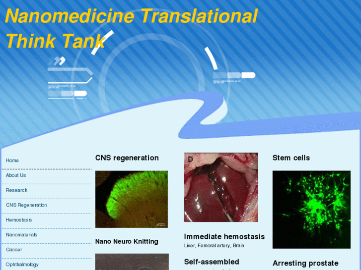 www.nanomedicinethinktank.com