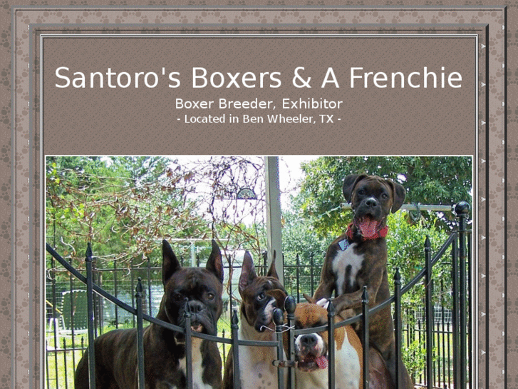 www.santorosboxers.com