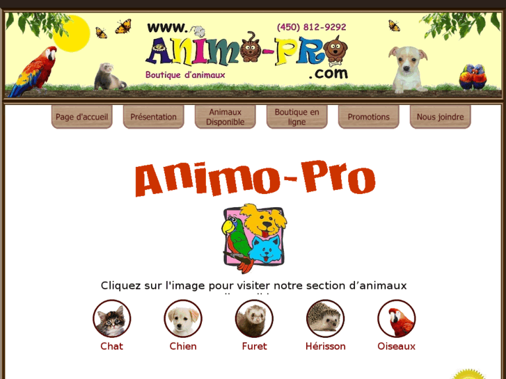 www.animo-pro.com