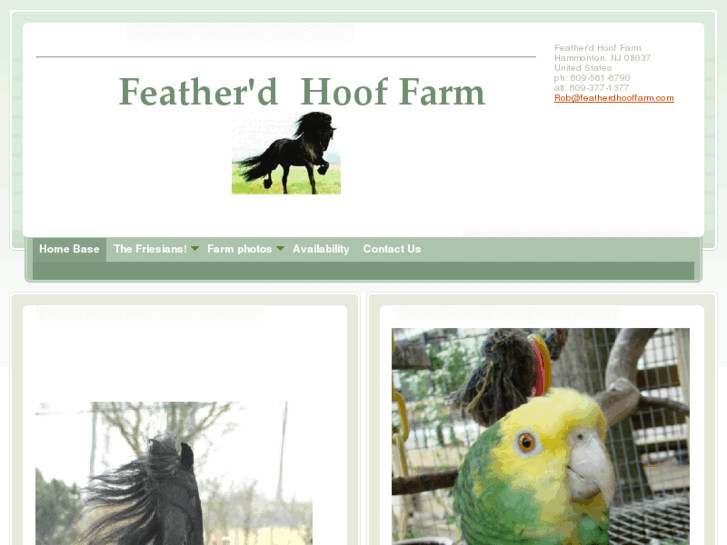 www.featherdhooffarm.com