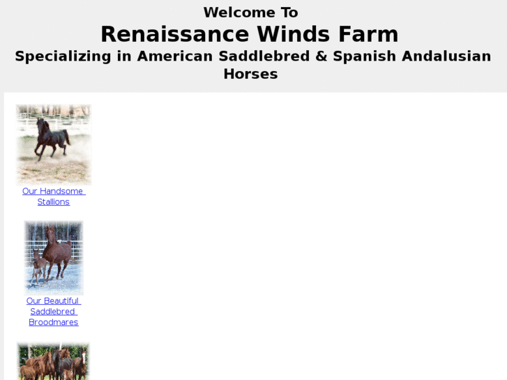 www.horsesofrenaissancewinds.com