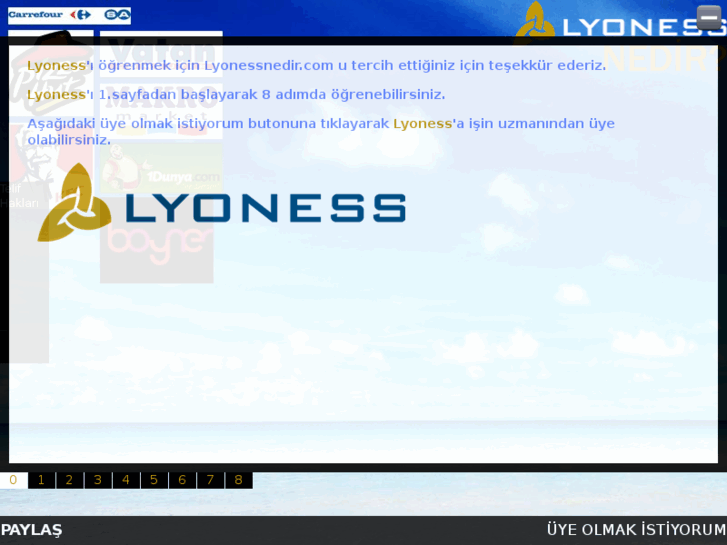 www.lyonessnedir.com