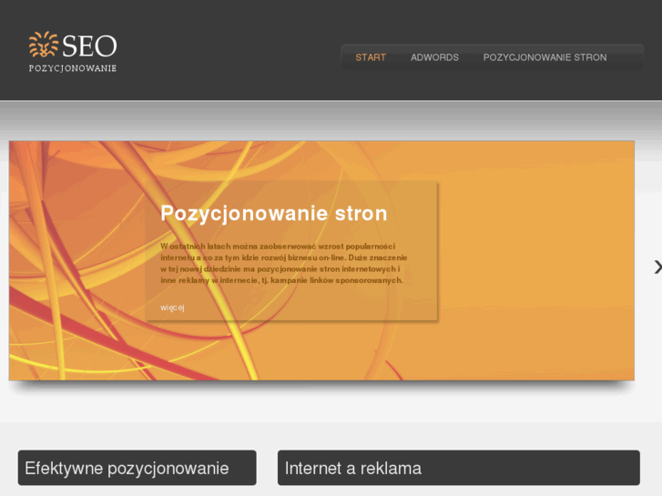 www.seo-pozycjonowanie.biz