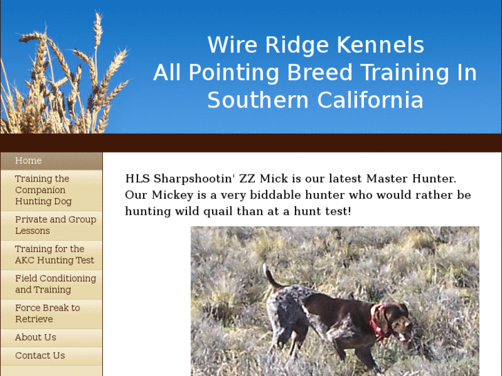 www.wireridgekennels.com