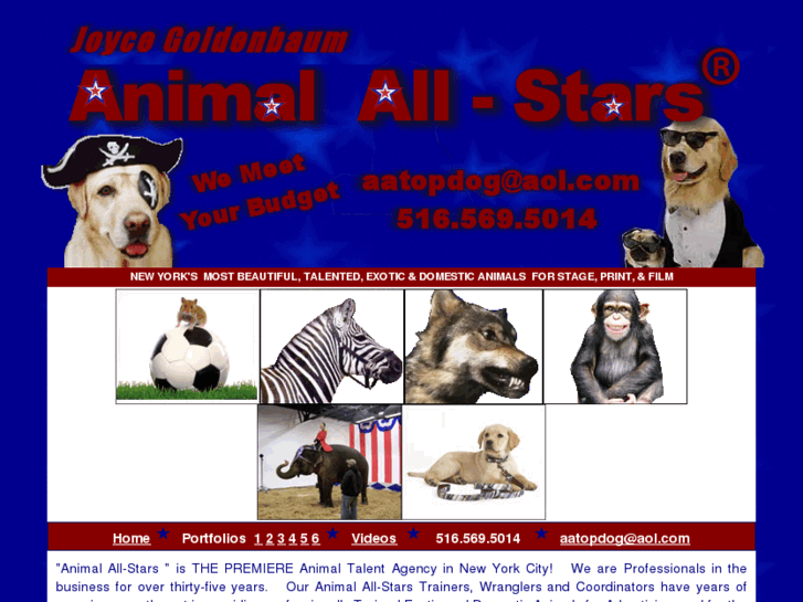 www.animalall-stars.com