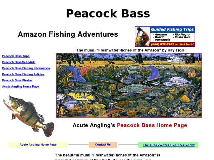 www.peacockbassangling.com