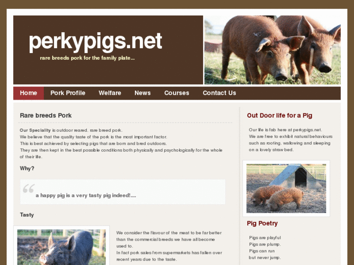 www.perkypigs.net