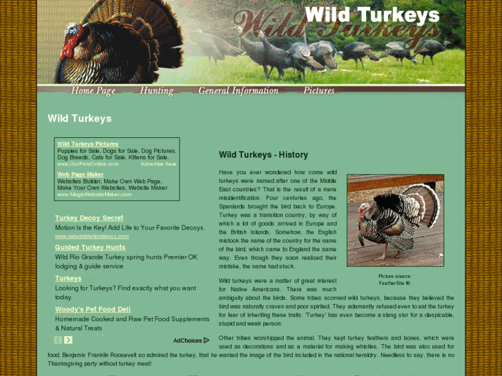 www.wild-turkeys.com