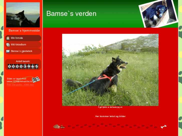 www.bamse-06.com