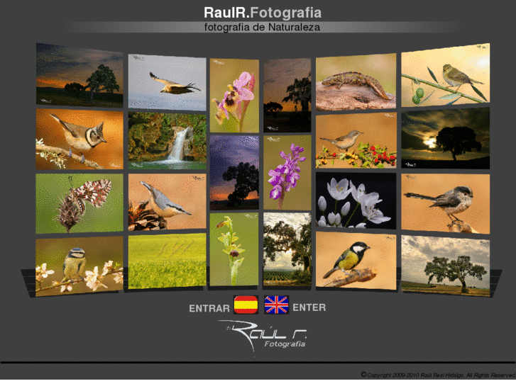 www.raulrfotografia.com