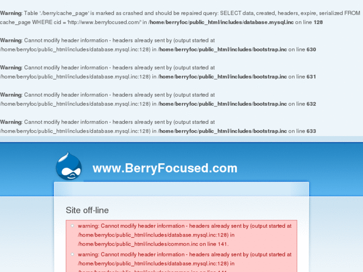 www.berryfocused.com