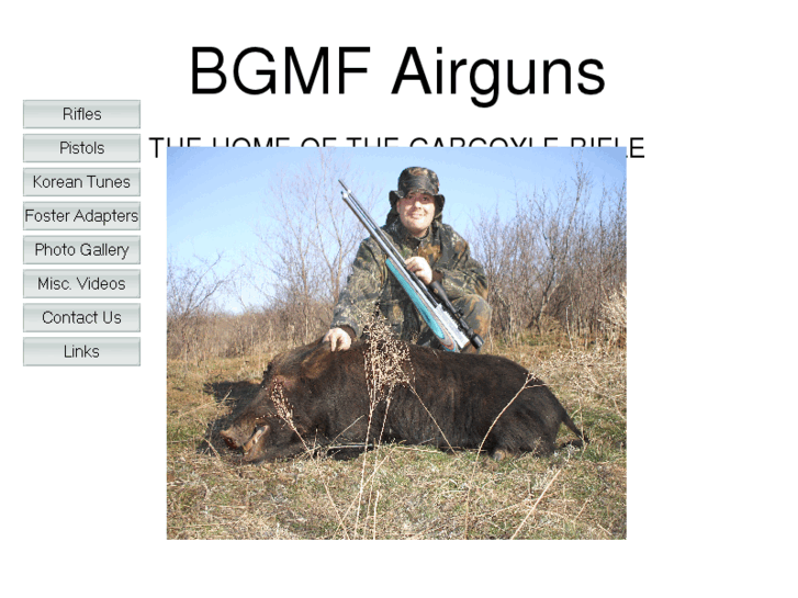 www.bgmfairguns.com