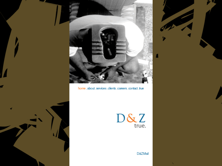 www.dnzweb.com