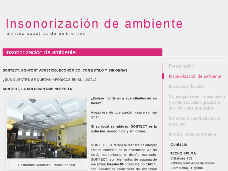 www.insonorizaciondeambiente.es