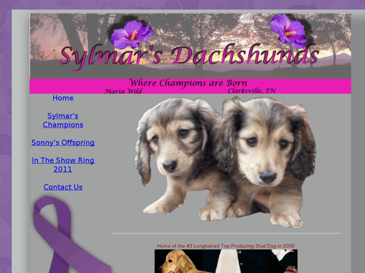 www.sylmardachshunds.com