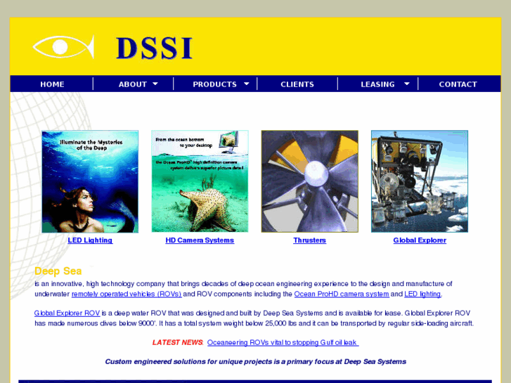 www.deepseasystems.com