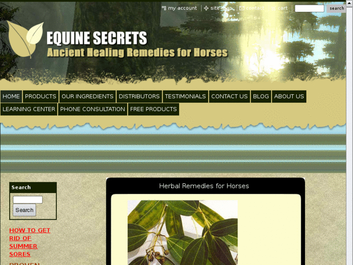 www.equinesecrets.com