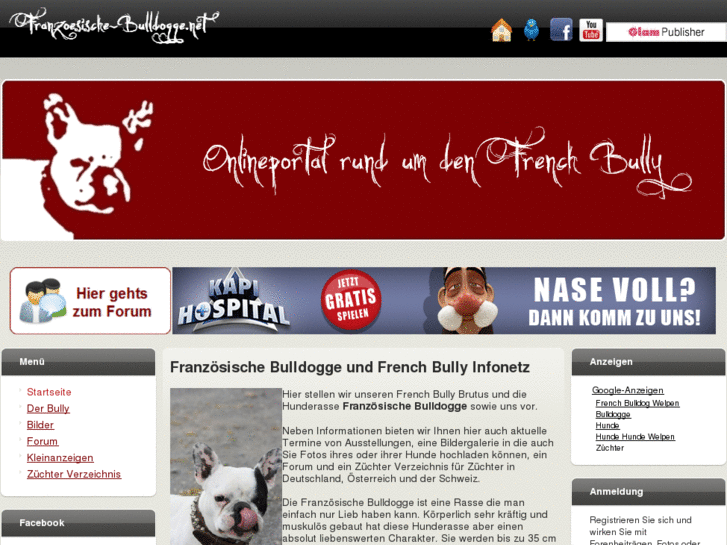 www.franzoesische-bulldogge.net