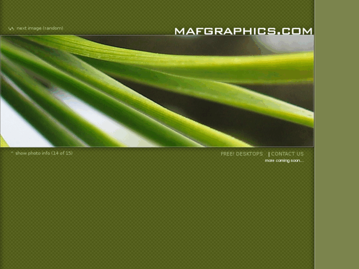 www.mafgraphics.com