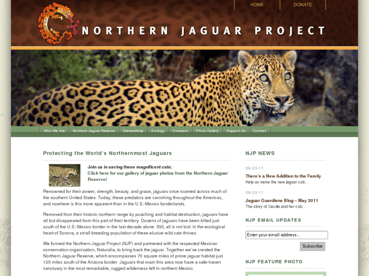 www.northernjaguarproject.org