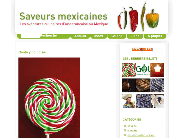 www.saveurs-mexicaines.com