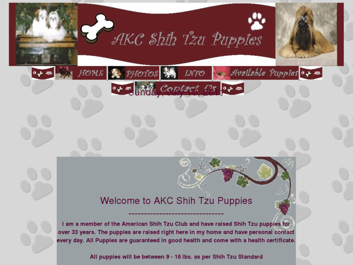 www.akcshihtzupuppies.com