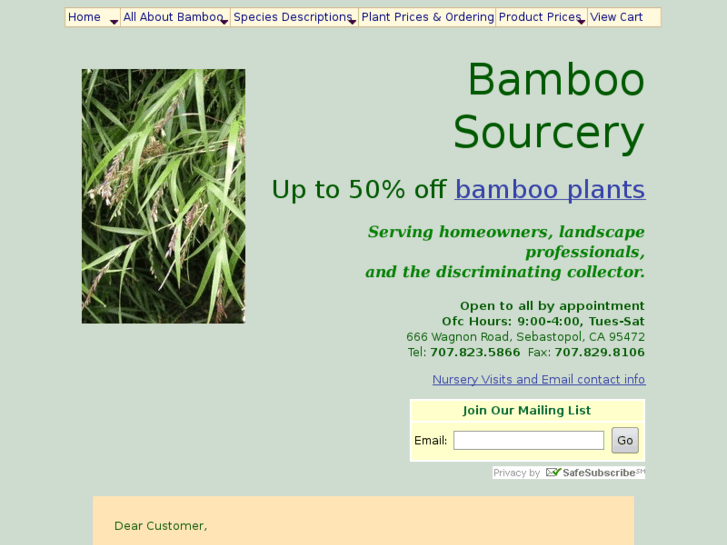 www.bamboosourcery.com