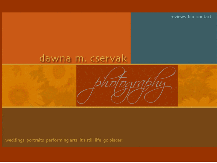 www.dawnamcservak.com