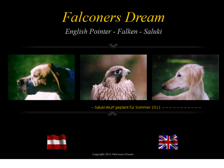 www.falconers-dream.com