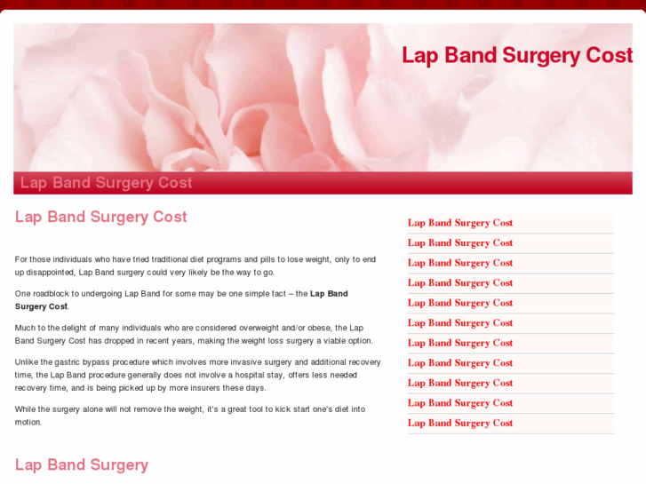 www.lapbandsurgerycost.info