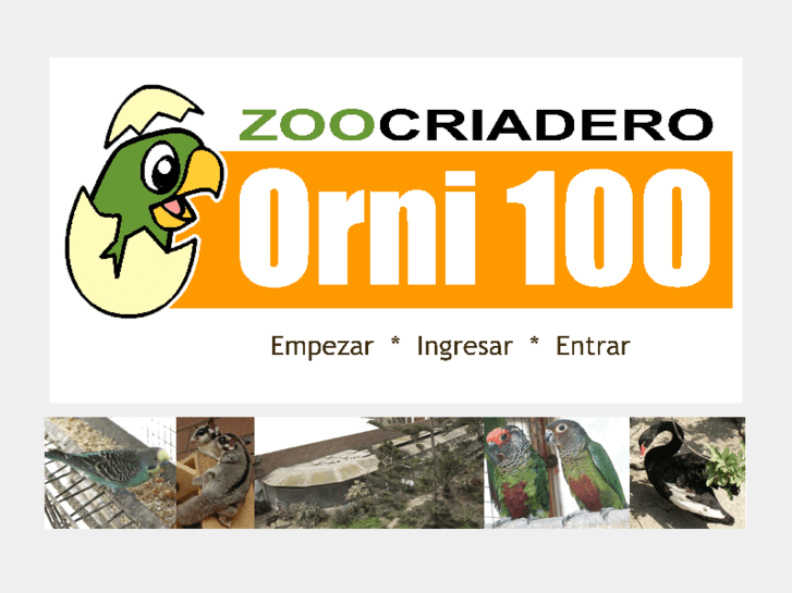 www.orni100.com