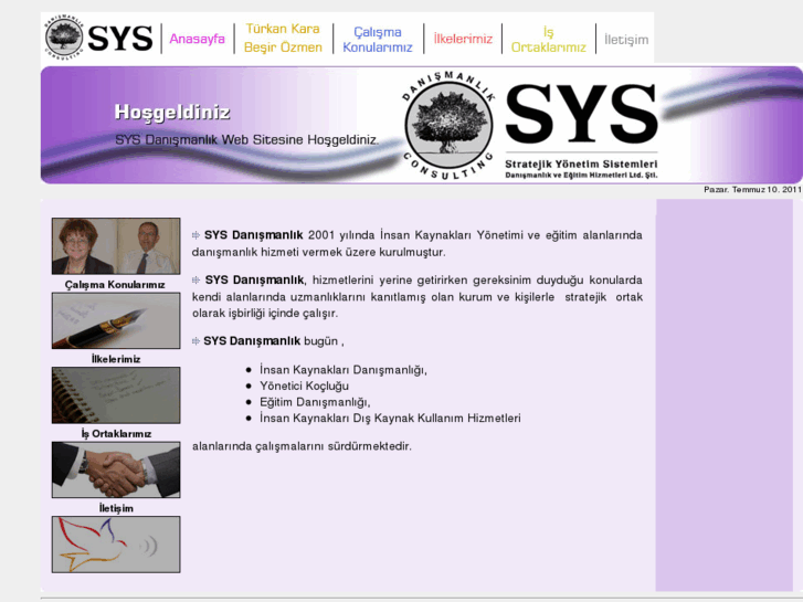 www.sysdanismanlik.com