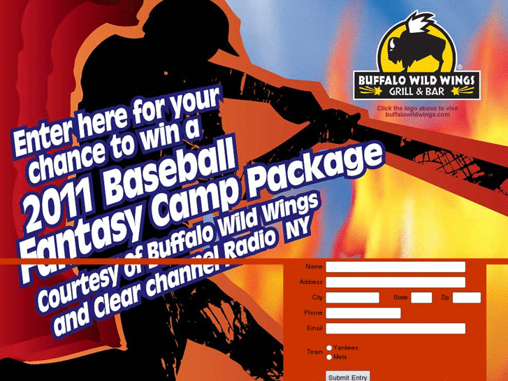 www.wildwingsbaseball.com