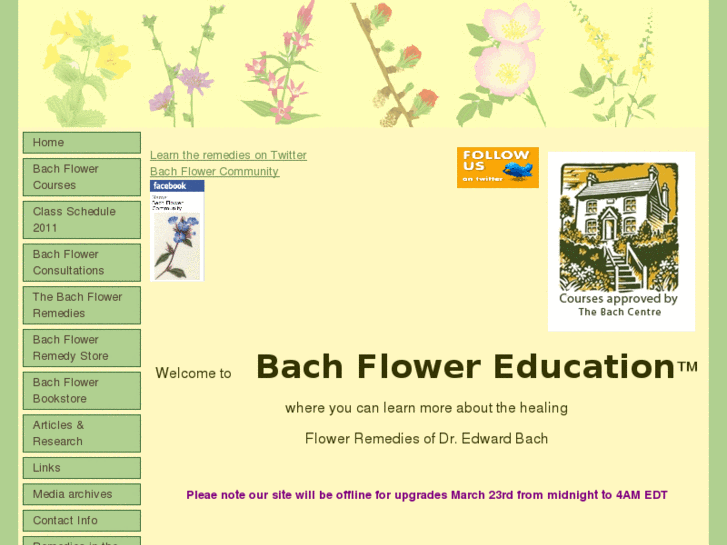 www.bachcommunity.org